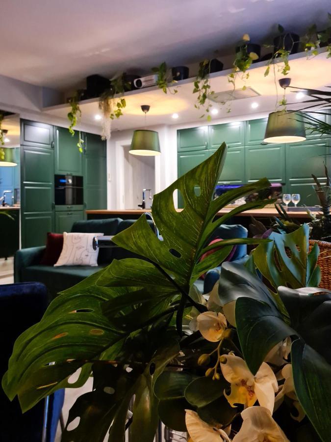 Serendipity Apartments - Montenapoleone ミラノ エクステリア 写真